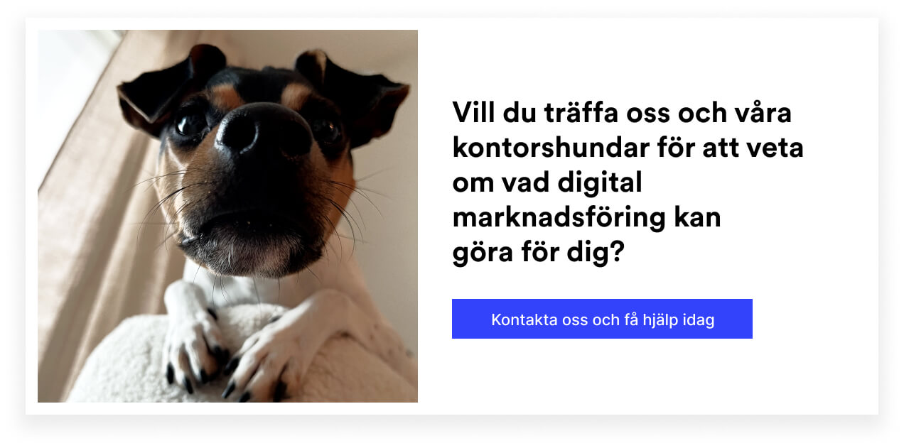 Brave Agency hund