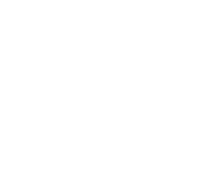 platinum-badge-white 1