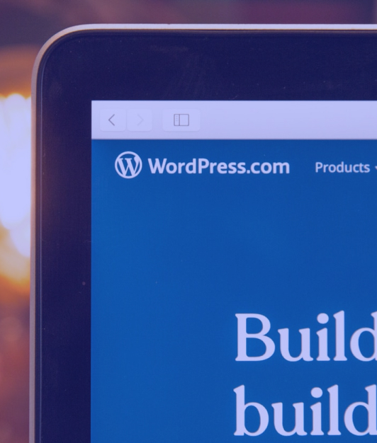 wordpress CMS