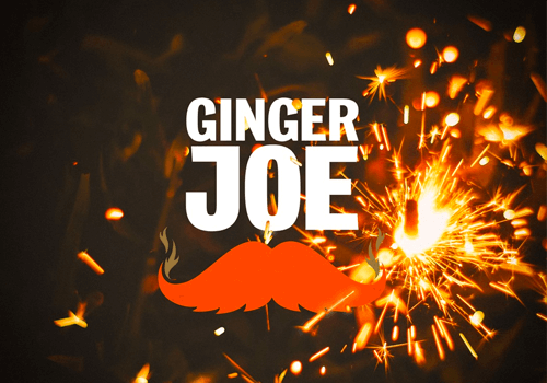 gingerjoe-case